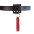 Gürtelelement mit Karabiner, Gürtel Halter nicht nur für BDSM, Gürtelpatch - SiaLinda.com